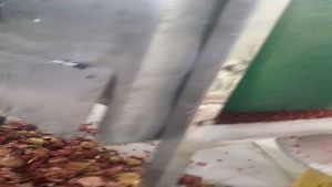 دستگاه انار دانه کن صتعتی