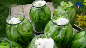 زندگی روستایی - طرز تهیه ترشی کرفس و گوشت تنوری