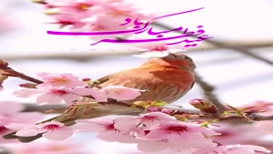 کلیپ تبریک عید فطر برای استوری