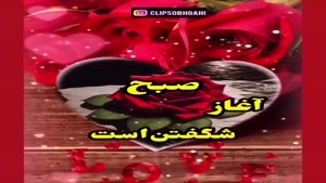 کلیپ صبح بخیر عاشقانه / کلیپ استوری عاشقانه صبح بخیر