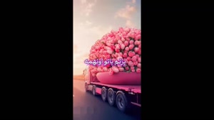 کلیپ عاشقانه برای استوری / استوری عاشقانه / وضعیت عاشقانه