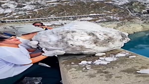 بلاتر عطر عمده  - تستر کاغذی برای عطر  