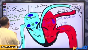 امتحان نهایی زیست دوازدهم استاد محمد عمارلو (کلاسینو)
