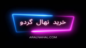 خرید نهال گردو 