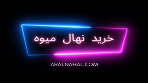 خرید نهال میوه