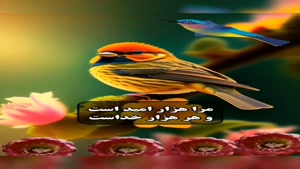 کلیپ سلام صبح بخیر خدایی/کلیپ صبح بخیر زیبا