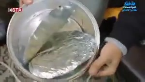 تقلب در لوازم خانگی 