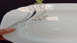 سرویس غذاخوری و آرکوپال 