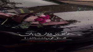 کلیپ شاد تبریک روز برادر از طرف خواهر