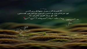 کلیپ قشنگ تبریک روز برادر از طرف خواهر