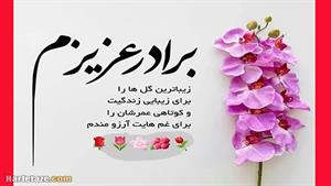 بهترین کلیپ روز برادر