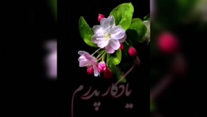 دانلود کلیپ روز برادر مبارک برای استوری