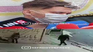 سارق زورگیر تلفن همراه از مادر و کودک در محدوده میدان شوش