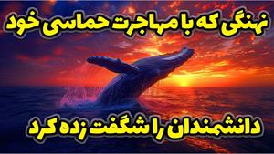مستند مهاجرت نهنگی که دانشمندان را شگفت زده کرد