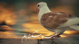 مولودی های مناسبتی