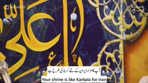 مولودی امام رضا - تولد امام رضا - امام رضا 