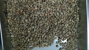 پخش لوازم باریستا 