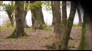 ماه پیشونی فصل ۱/۲ قسمت اول / ۱۶