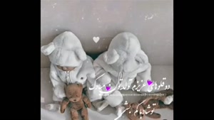 کلیپ دوقلوها برای استوری و وضعیت / روز دوقلوها