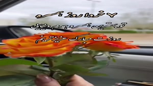 کلیپ روز جهانی همسر / روزت مبارک عزیزترینم / روز همسر