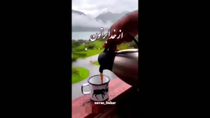 کلیپ صبح بخیر شاد / کلیپ صبحتون بخیر و شادی