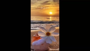 کلیپ زیبا و قشنگ برای استوری / کلیپ عاشقانه