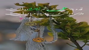 روز جهانی ازدواج /کلیپ سالروز ازدواج علی و فاطمه برای اینستا