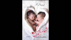 کلیپ دوقلوها / روز دوقلوها / دوقلوها برای وضعیت