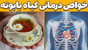 خواص مفید بابوبه برای سلامت بدن