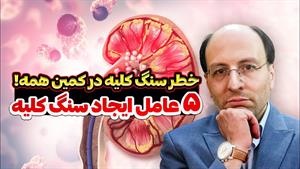 5 علت اصلی به وجود آمدن سنگ کلیه