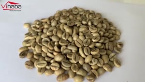 انواع عمده باریستا