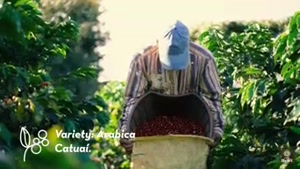 انواع فله تجهیزات باریستا