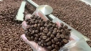 پخش عمده ابزار باریستا