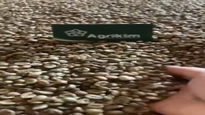 پخش عمده ابزار باریستا