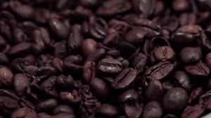 فروش وسایل ابزار باریستا 