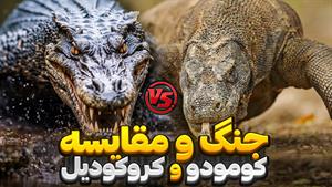 مستند حیوانات _ نبرد کروکودیل و اژدهای کومودو