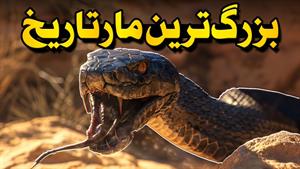 مستند حیوانات _ مستند مار تیتانوبوآ