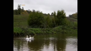 زندگی روستایی 99