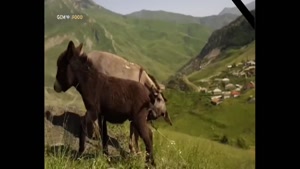 زندگی روستایی 110