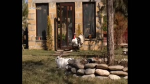 زندگی روستایی 113