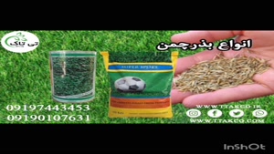 بذرچمن برموداگراس ، بذر چمن گرمسیری 09199762163