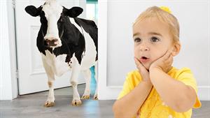 ماجراهای آلیس _ ماجراجویی خنده‌دار آلیس با حیوانات