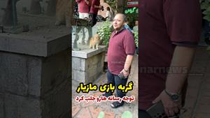 توجه رسانه ها به گربه بازی مازیار رستانی