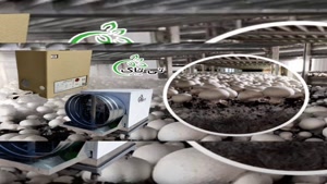 رطوبت ساز صنعتی سالن پرورش قارچ - 09197443453