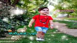کلیپ روزپسر / استوری تبریک روز پسر / روز پسر مبارک