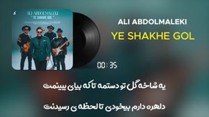 آهنگ یه شاخه گل - علی عبدالمالکی 