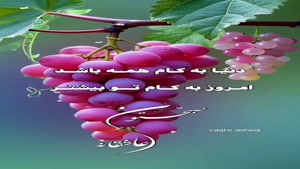 کلیپ صبح بخیر عاشقانه/ کلیپ صبح بخیر شاد