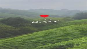 روز مو فرفری ها ۱۴۰4/کلیپ موفرفری