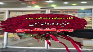 کلیپ تبریک روز پسر برای استوری/کلیپ آهنگ پسر عزیز مادر