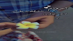 کلیپ تبریک روز همسر عاشقانه/کلیپ روزهمسر